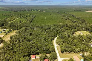 193 NE 944th Ave, Branford, FL 32008 - Photo 41