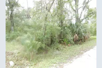 Central Avenue, Zephyrhills, FL 33540 - Photo 3