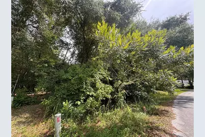 Sw 98th Loop, Dunnellon, FL 34432 - Photo 5