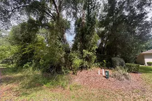 SW 98th Loop, Dunnellon, FL 34432 - Photo 1