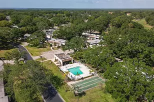 3137 Mission Grove Dr, Palm Harbor, FL 34684 - Photo 33