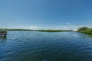 839 Florida Ave, Palm Harbor, FL 34683 - Photo 79