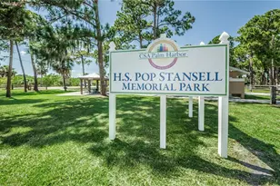 839 Florida Ave, Palm Harbor, FL 34683 - Photo 63