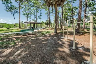 839 Florida Ave, Palm Harbor, FL 34683 - Photo 71