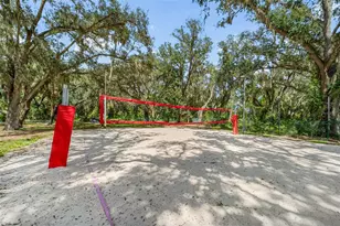 18171 Paradise Point Dr, Tampa, FL 33647 - Photo 43
