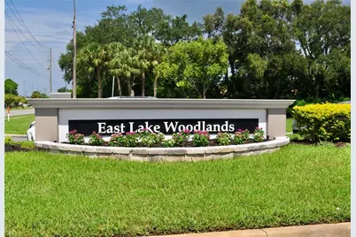 150 Poole Place, Oldsmar, FL 34677 - Photo 35
