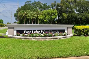 150 Poole Pl, Oldsmar, FL 34677 - Photo 35