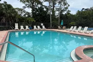 556 Black Lion Dr NE, Saint Petersburg, FL 33716 - Photo 49