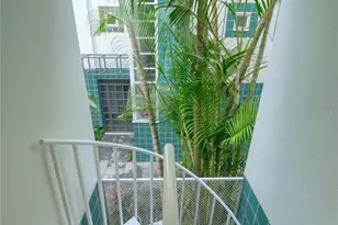 4950 Bayshore Blvd, Tampa, FL 33611 - Photo 21