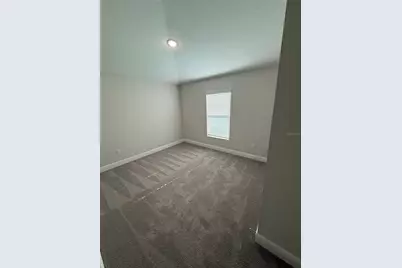 9924 Annunciation Drive, Wesley Chapel, FL 33545 - Photo 19