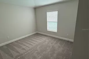 9924 Annunciation Dr, Wesley Chapel, FL 33545 - Photo 19