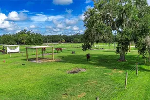 1605 Butch Cassidy Trail, Wimauma, FL 33598 - Photo 69