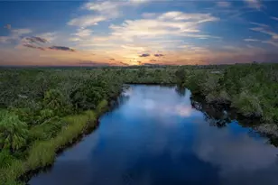 1605 Butch Cassidy Trail, Wimauma, FL 33598 - Photo 61