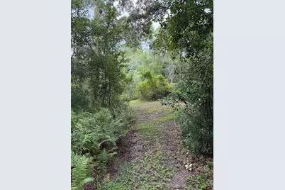 19201 Dove Road, Land O Lakes, FL 34638 - Photo 7