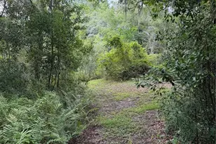19201 Dove Rd, Land O Lakes, FL 34638 - Photo 7