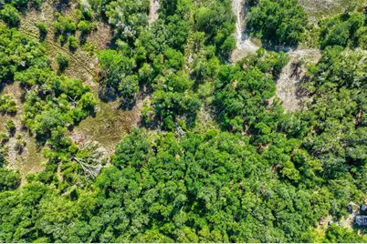 Bruton Road, Plant City, FL 33565 - Photo 5