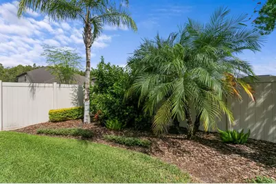 18908 Willowmore Cedar Drive, Lutz, FL 33558 - Photo 51