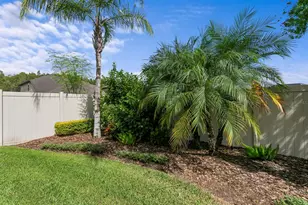 18908 Willowmore Cedar Dr, Lutz, FL 33558 - Photo 51