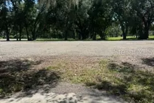 3404 High Hampton Cir, Tampa, FL 33610 - Photo 23