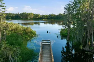 14215 Pondhawk Ln, Tampa, FL 33625 - Photo 41