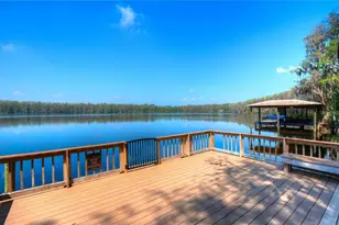 20622 Broadwater Dr, Land O Lakes, FL 34638 - Photo 45
