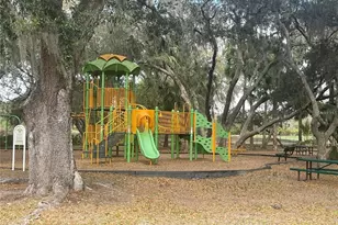 18102 Turtle Beach Way, Tampa, FL 33647 - Photo 25