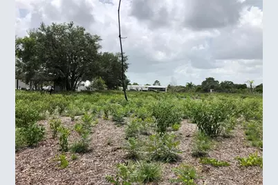 Duck Key Street, Lake Wales, FL 33859 - Photo 3