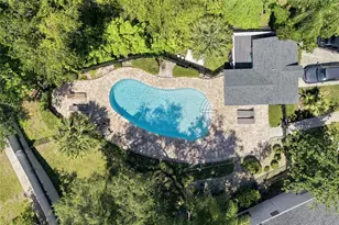 2725 Penzance St, Palm Harbor, FL 34684 - Photo 39
