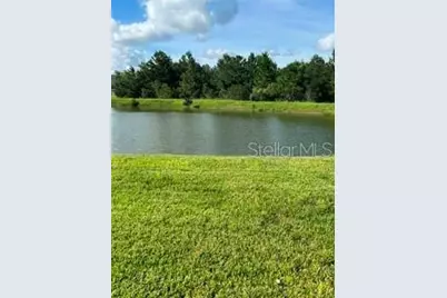 17973 Dairy Farm Court, Land O Lakes, FL 34638 - Photo 31