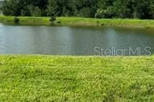 17973 Dairy Farm Ct, Land O Lakes, FL 34638 - Photo 31