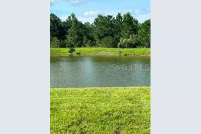 17973 Dairy Farm Court, Land O Lakes, FL 34638 - Photo 3