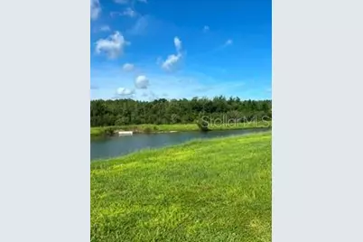 17973 Dairy Farm Court, Land O Lakes, FL 34638 - Photo 33