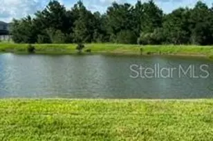 17973 Dairy Farm Ct, Land O Lakes, FL 34638 - Photo 3