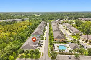17871 Stella Moon Pl, Lutz, FL 33558 - Photo 3