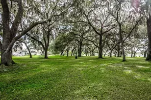 25427 7 Rivers Cir, Land O Lakes, FL 34639 - Photo 99