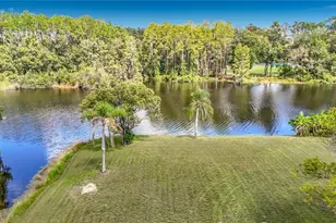 21107 2nd St, Land O Lakes, FL 34638 - Photo 51