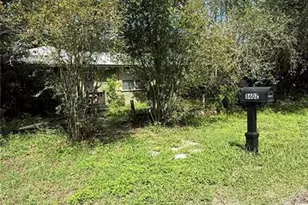 8602 N Rome Ave, Tampa, FL 33604 - Photo 5