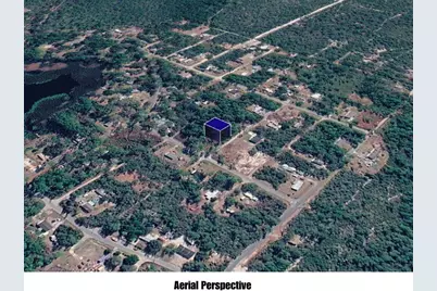 Carolina Street, Paisley, FL 32767 - Photo 11