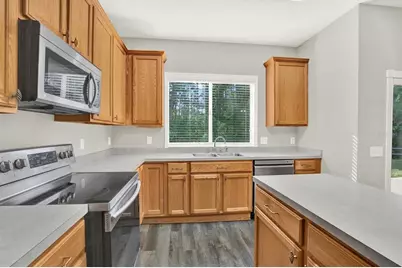17454 Stinchar Drive, Land O Lakes, FL 34638 - Photo 7