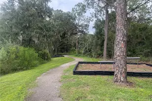 7060 Silverado Ranch Blvd, Zephyrhills, FL 33541 - Photo 19