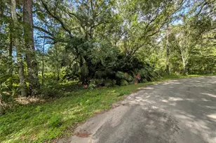 0 Wildwood Dr, Brooksville, FL 34601 - Photo 1