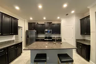 10049 Victory Gallop Loop, Ruskin, FL 33573 - Photo 3