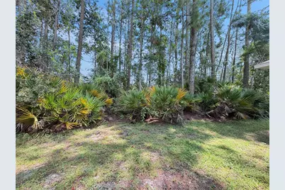 [Address not provided], Palm Coast, FL 32137 - Photo 19
