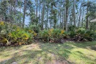 [Address not provided], Palm Coast, FL 32137 - Photo 19