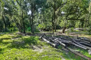 8922 Pritcher Rd, Lithia, FL 33547 - Photo 63