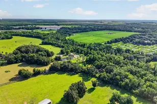 8922 Pritcher Rd, Lithia, FL 33547 - Photo 71