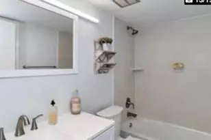 4435 1st St NE, Saint Petersburg, FL 33703 - Photo 3