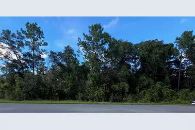 13155 Saddle Way, Brooksville, FL 34613 - Photo 1