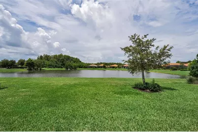 11386 Juglans Drive, Odessa, FL 33556 - Photo 39
