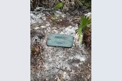 Unassigned East Parkway, Deland, FL 32724 - Photo 3